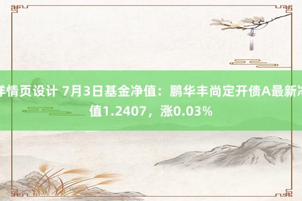 详情页设计 7月3日基金净值：鹏华丰尚定开债A最新净值1.2407，涨0.03%