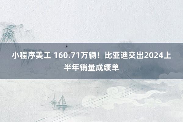 小程序美工 160.71万辆！比亚迪交出2024上半年销量成绩单