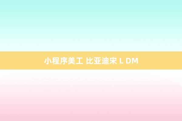 小程序美工 比亚迪宋 L DM