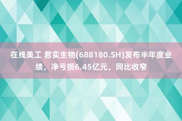 在线美工 君实生物(688180.SH)发布半年度业绩，净亏损6.45亿元，同比收窄